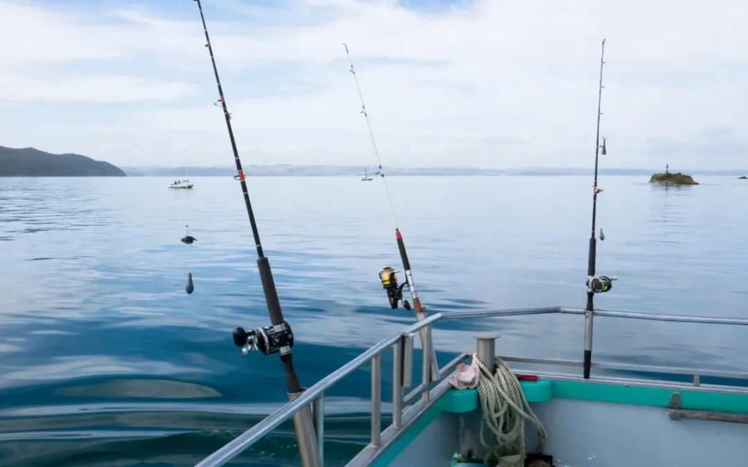 The Benefits of Exploring Coastal Waters on a Fishing Charter
